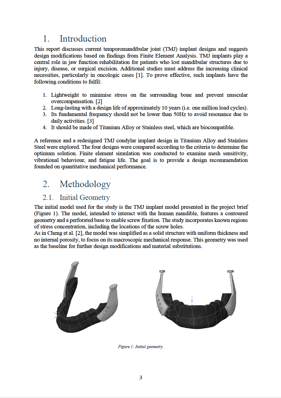 Report Page 1